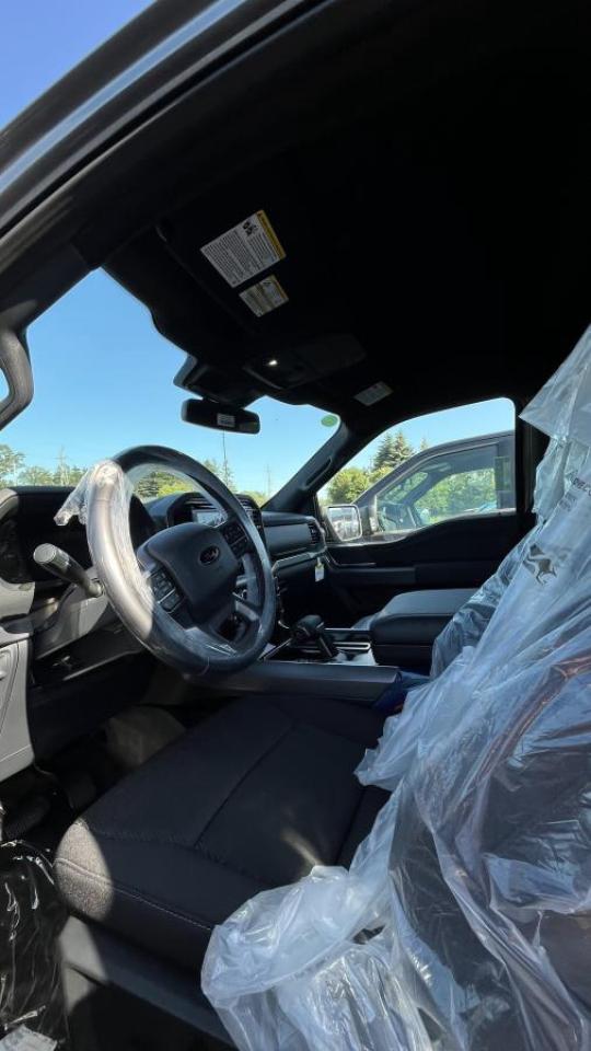 2025 Ford F-150 Hybrid XLT Photo