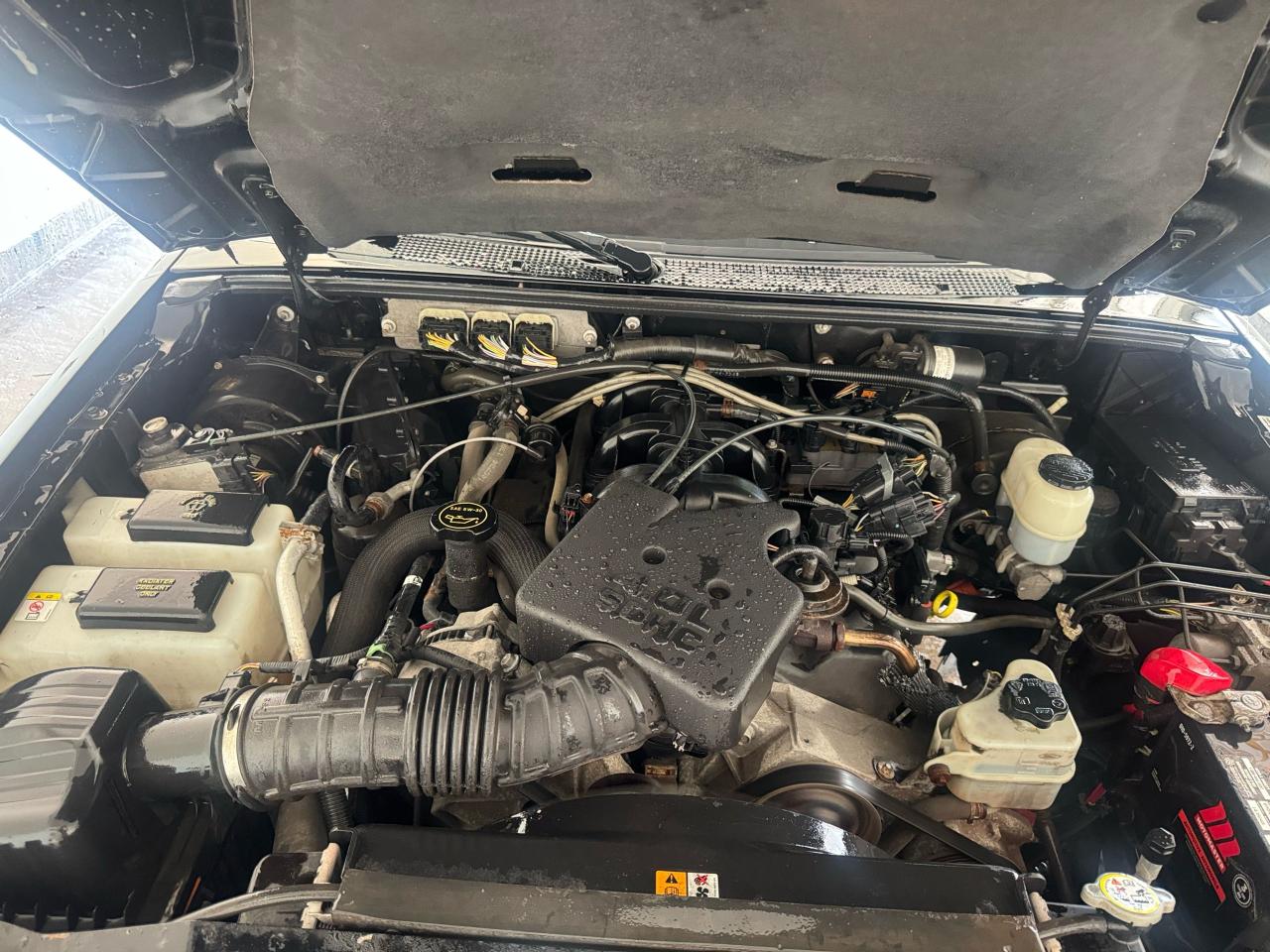 2008 Ford Ranger AS IS SPECIAL, FX4, 4.0 V6, MANUAL, RUNS GOOD - Photo #10