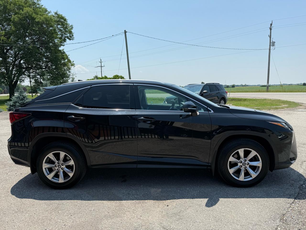 2019 Lexus RX RX350 | Backup Camera | Sunroof | Cooled Seats - Photo #6