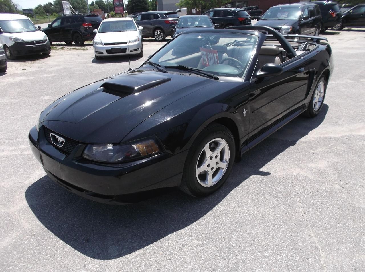 2003 Ford Mustang Convertible - Photo #3