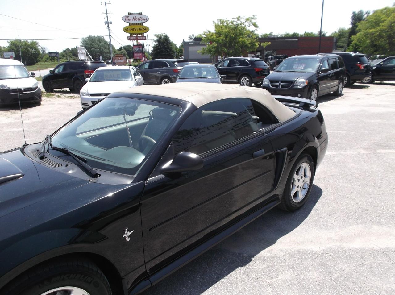 2003 Ford Mustang Convertible - Photo #10