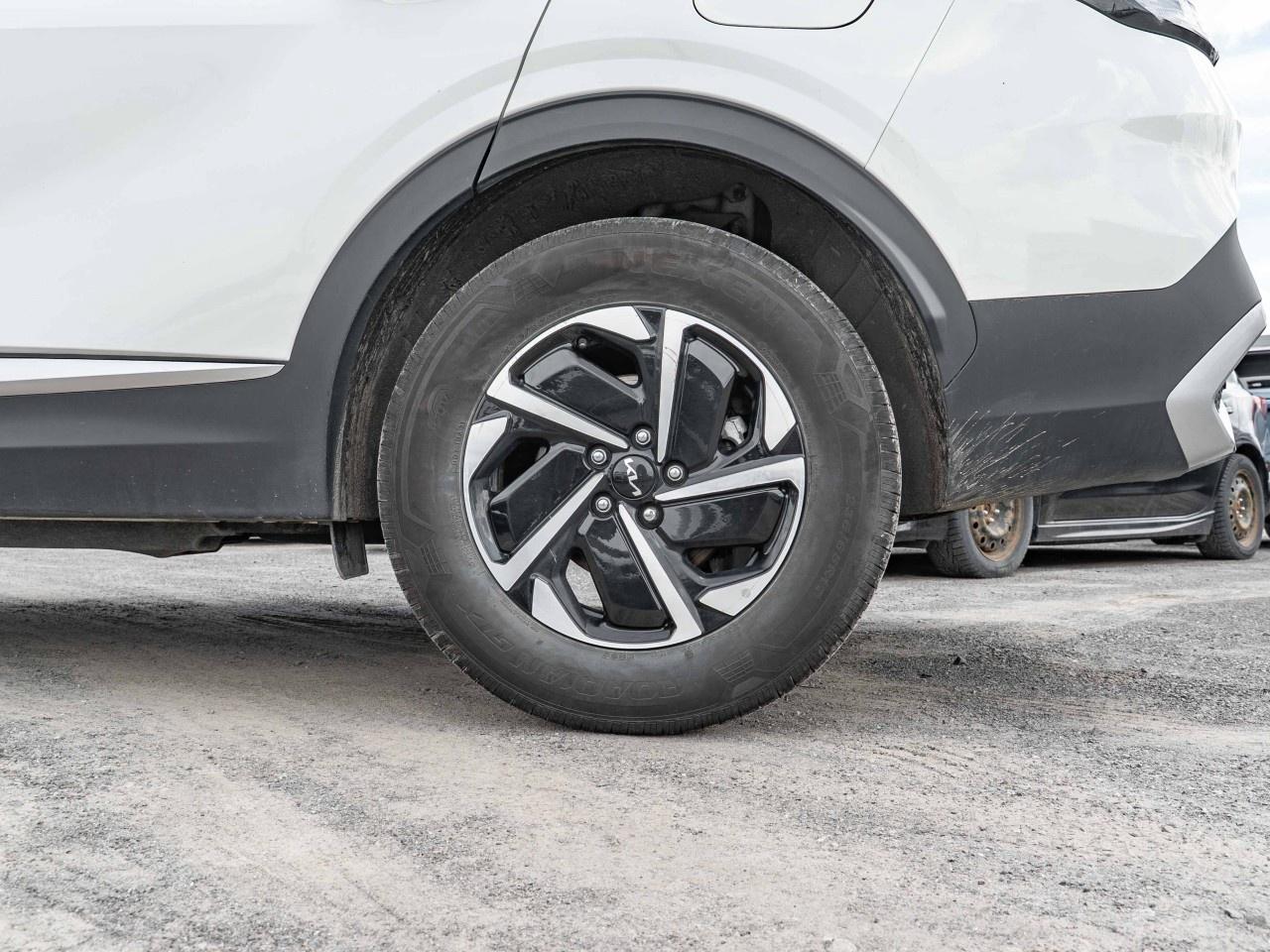 2025 Kia Sportage Hybrid EX AWD Photo