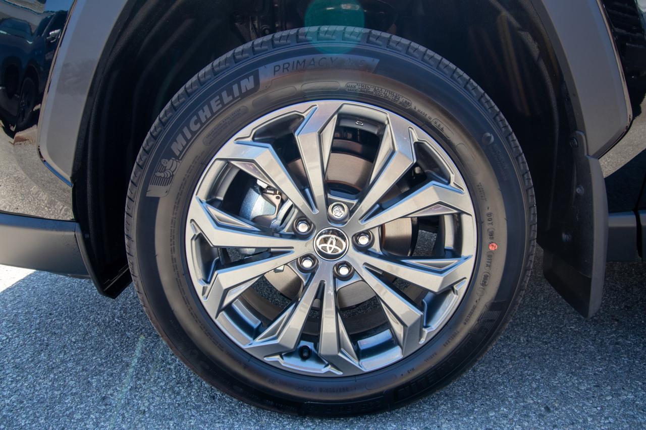 2025 Toyota RAV4 HYBRID XLE AWD Photo5