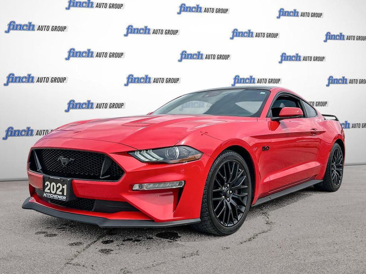 Used 2021 Ford Mustang GT Premium One Owner | Well Maintained | No Accidents for sale in Kitchener, ON