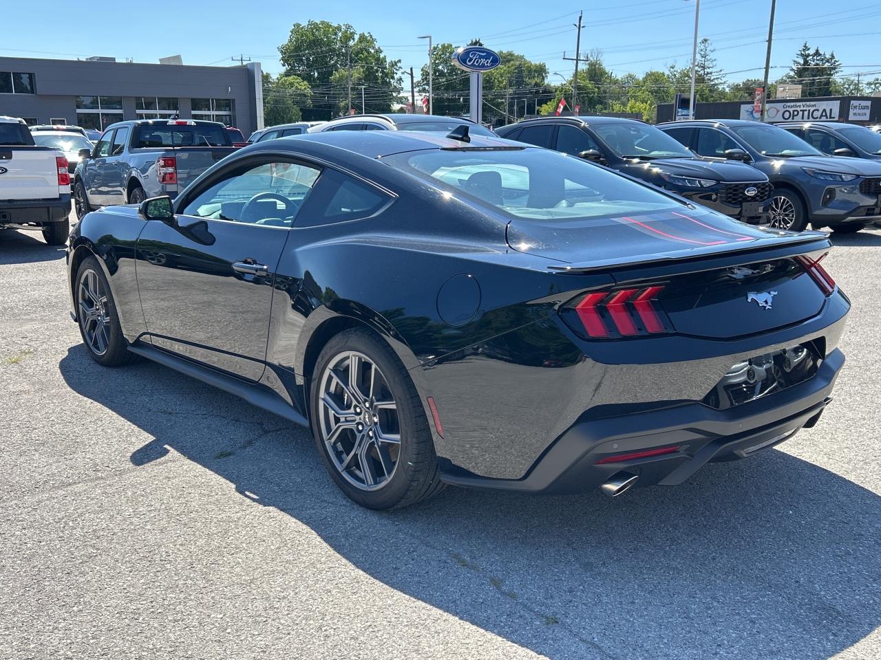 2024 Ford Mustang EcoBoost  - Local - One owner Photo2