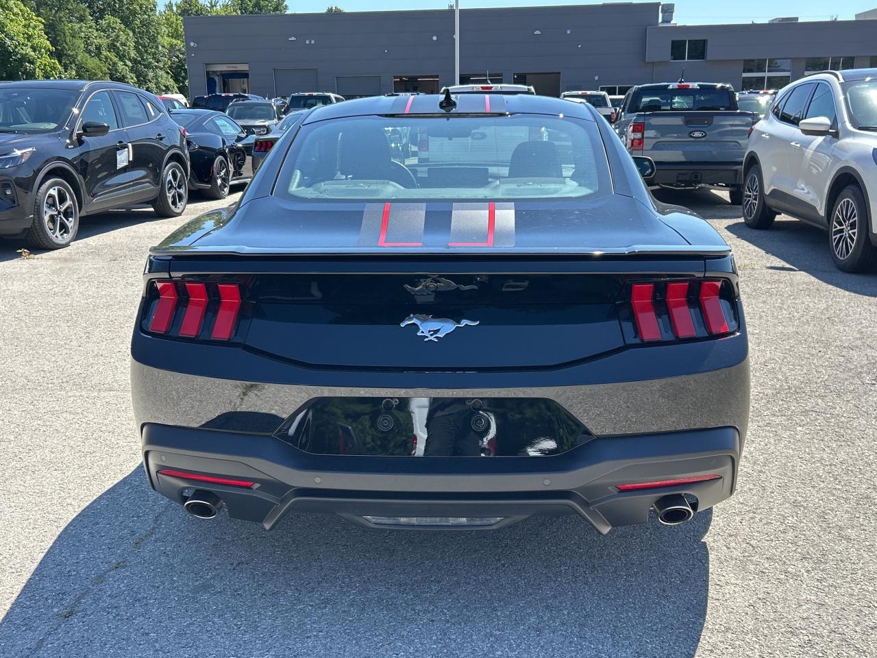 2024 Ford Mustang EcoBoost  - Local - One owner Photo