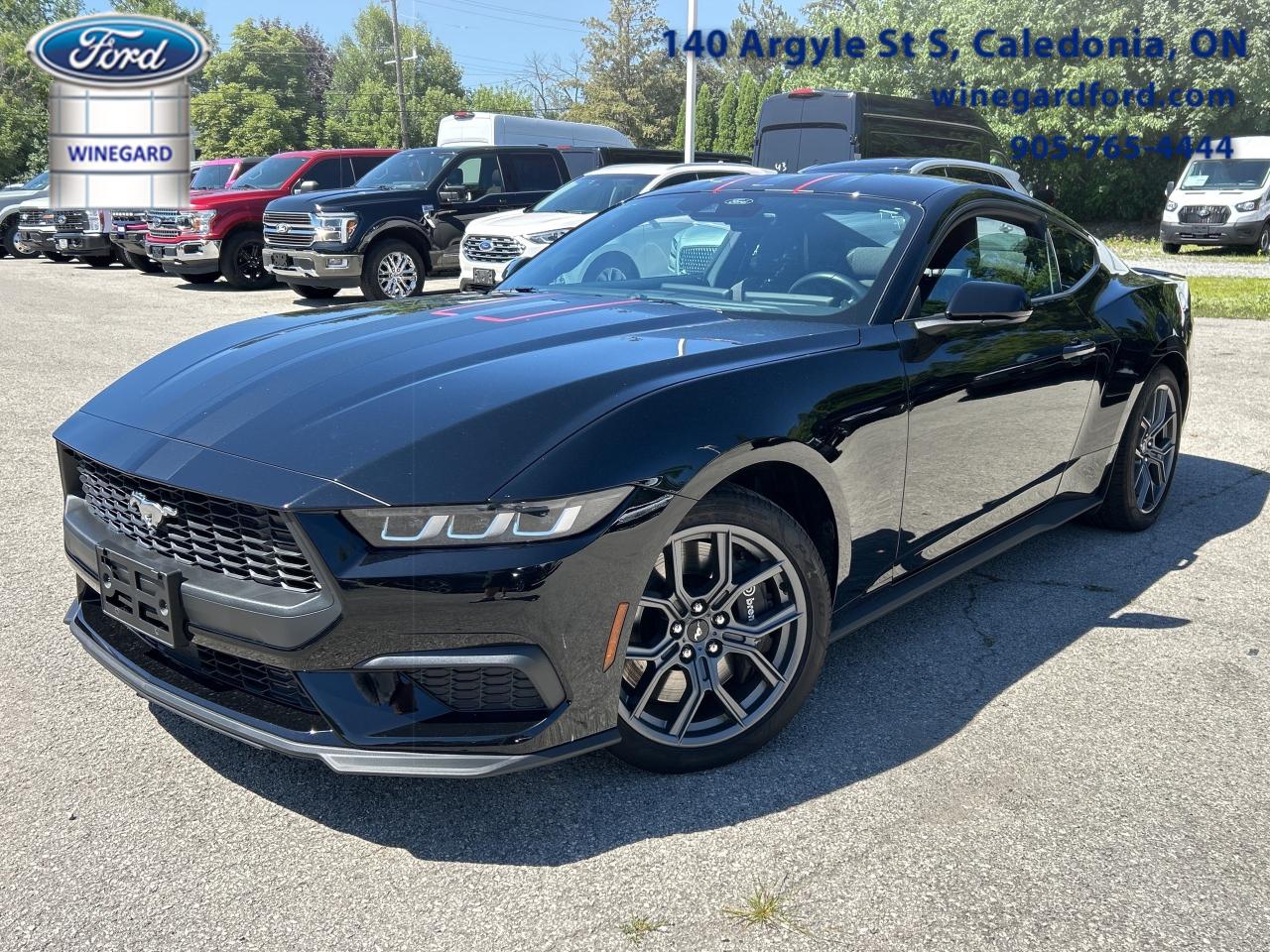 Used 2024 Ford Mustang EcoBoost  - Local - One owner for sale in Caledonia, ON