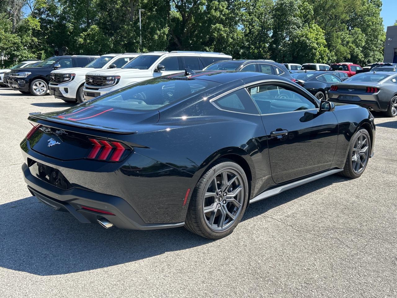 2024 Ford Mustang EcoBoost  - Local - One owner Photo4