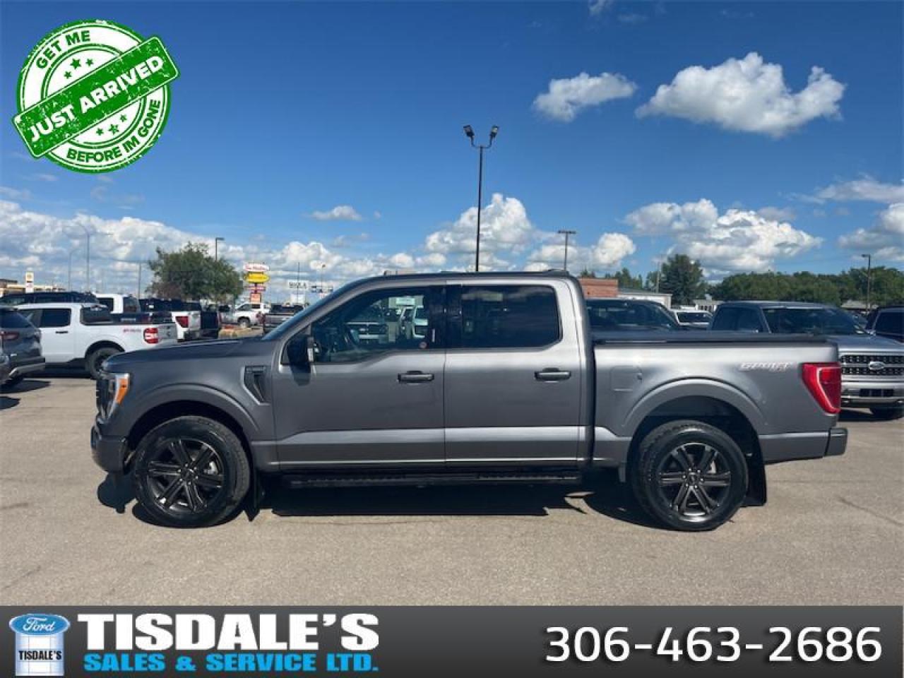 Used 2021 Ford F-150  for sale in Kindersley, SK