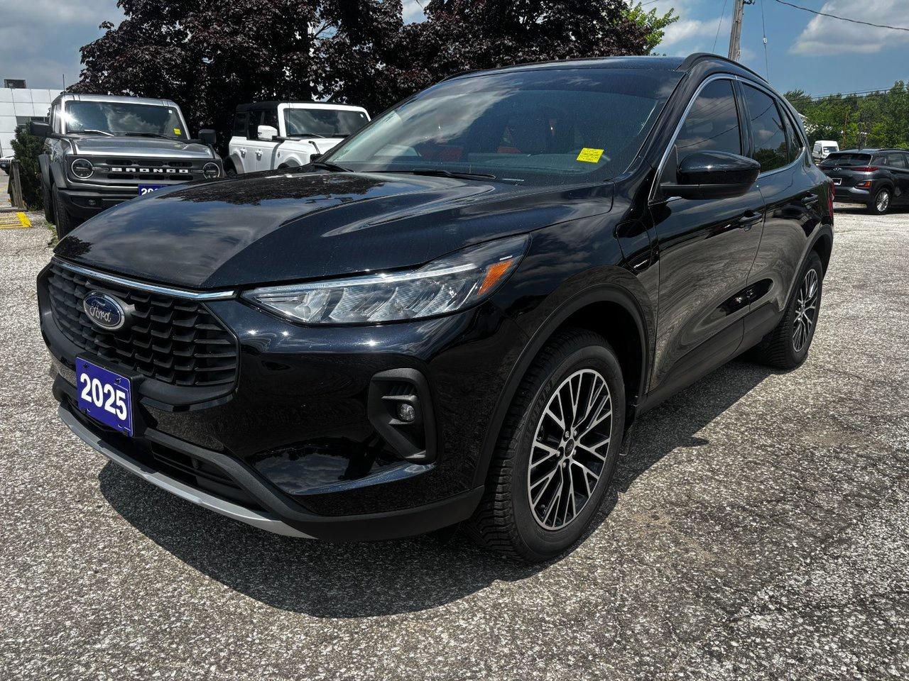 Used 2025 Ford Escape PHEV for sale in Essex, ON