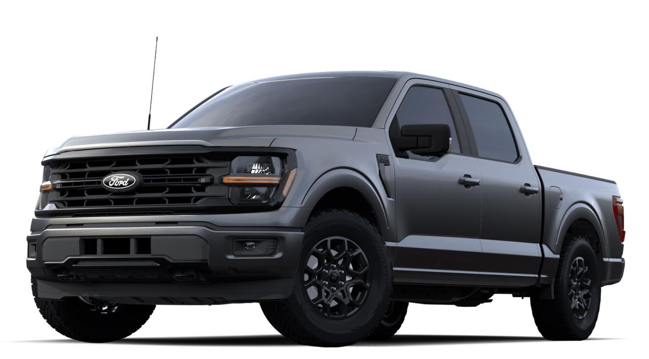 2024 Ford F-150 XLT 4WD SuperCrew 5.5' Box Photo5