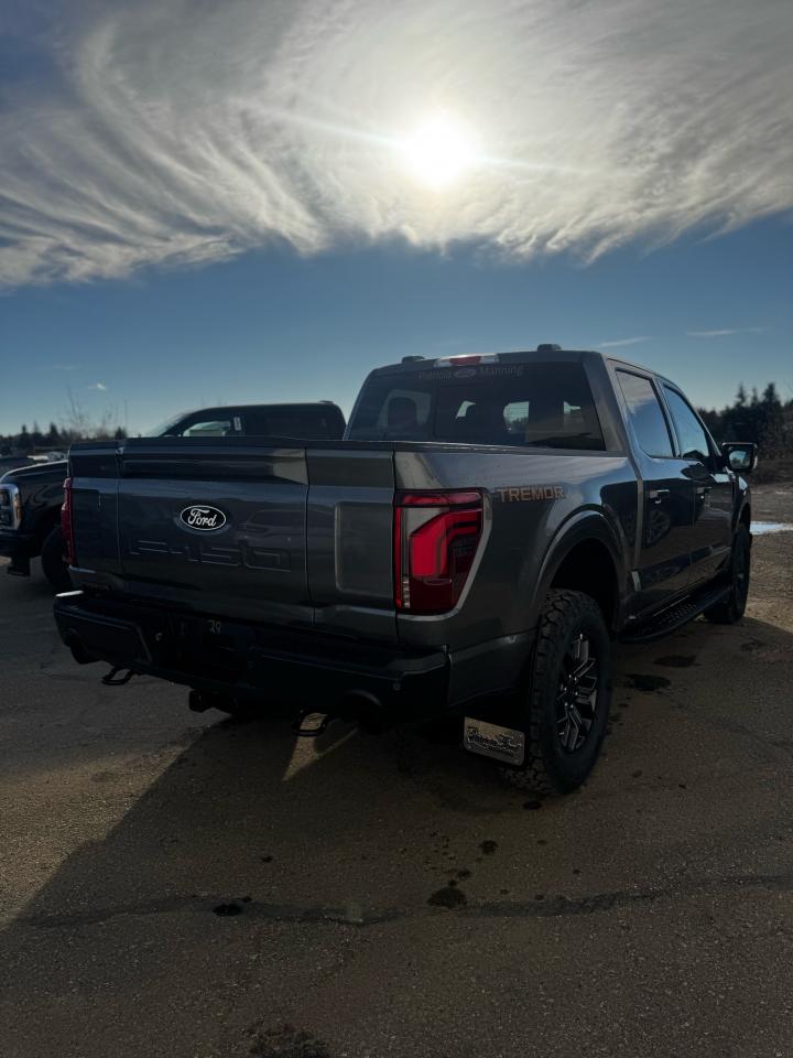 2025 Ford F-150 Tremor Photo3