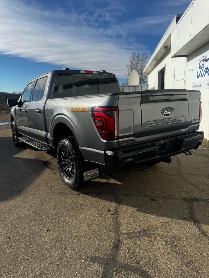 2025 Ford F-150 Tremor Photo2