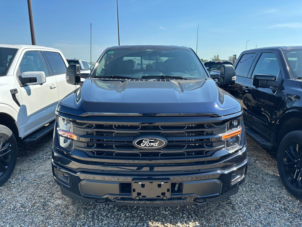 2025 Ford F-150 XLT 4WD SuperCrew 5.5' Box Photo2