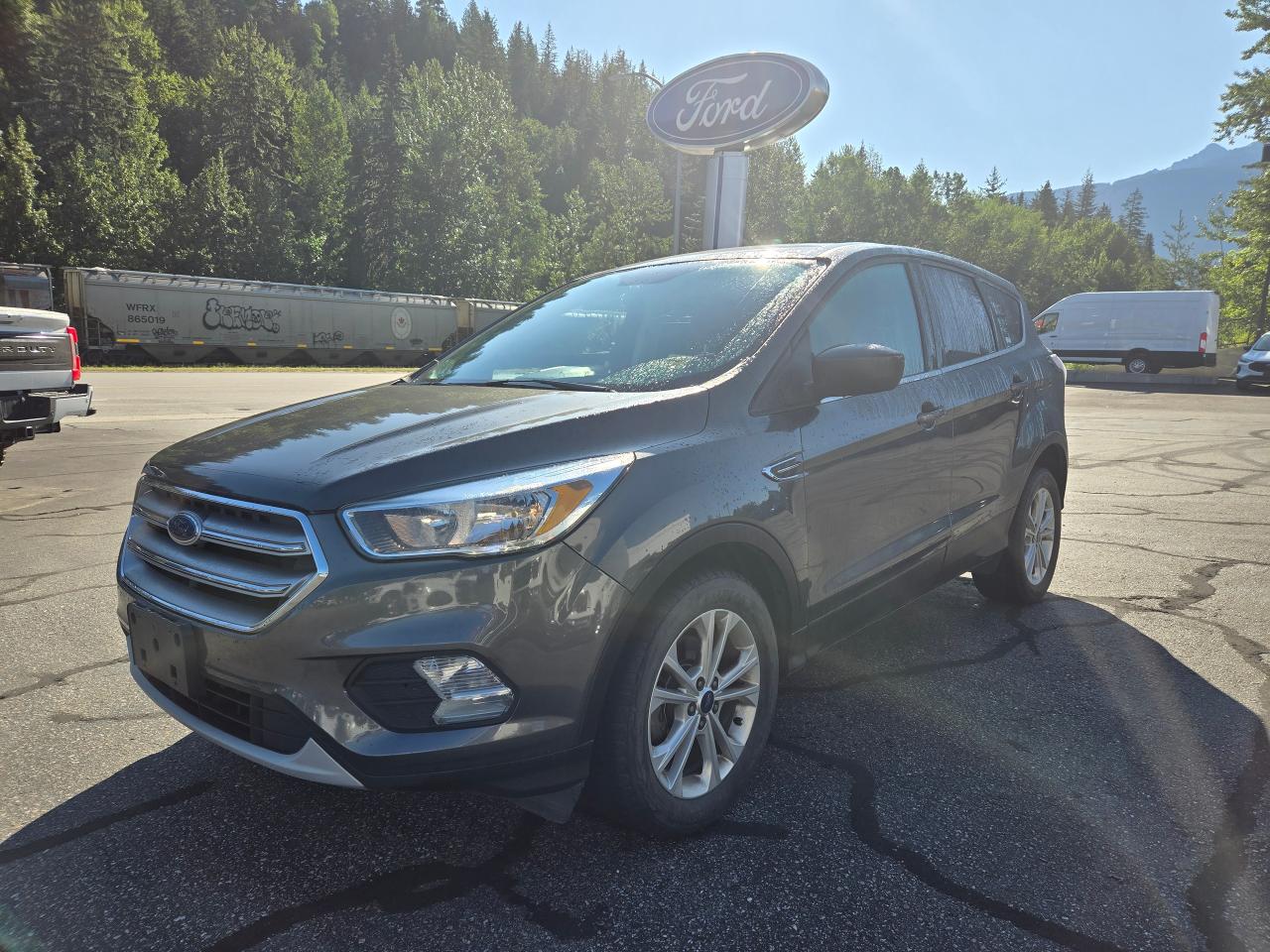 Used 2017 Ford Escape SE for sale in Salmon Arm, BC