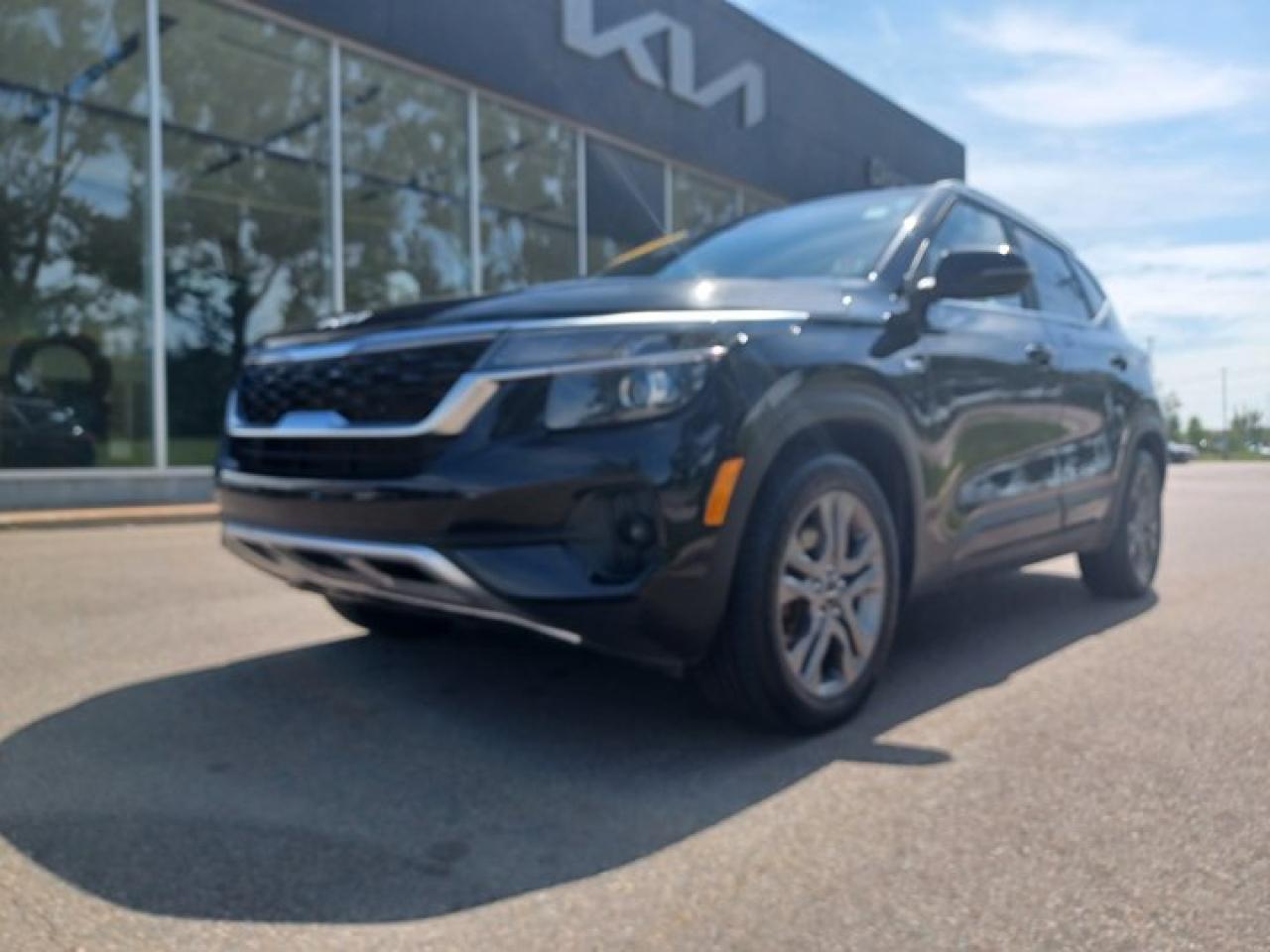 Used 2022 Kia Seltos EX for sale in Charlottetown, PE