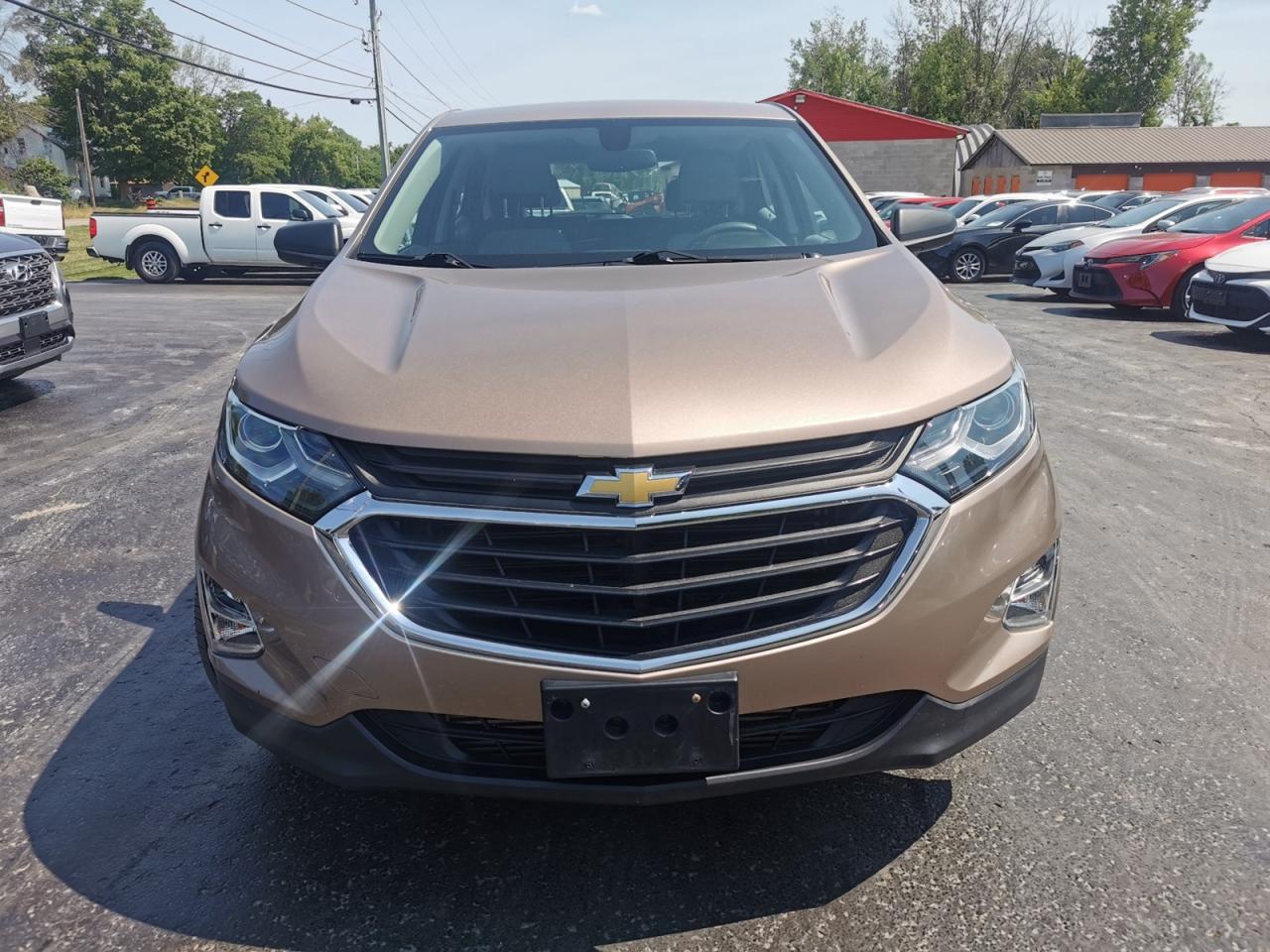 2019 Chevrolet Equinox  - Photo #8