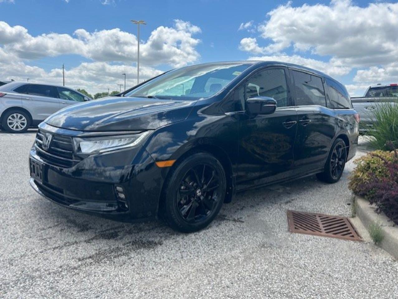 Used 2024 Honda Odyssey Black Edition Auto for sale in Watford, ON