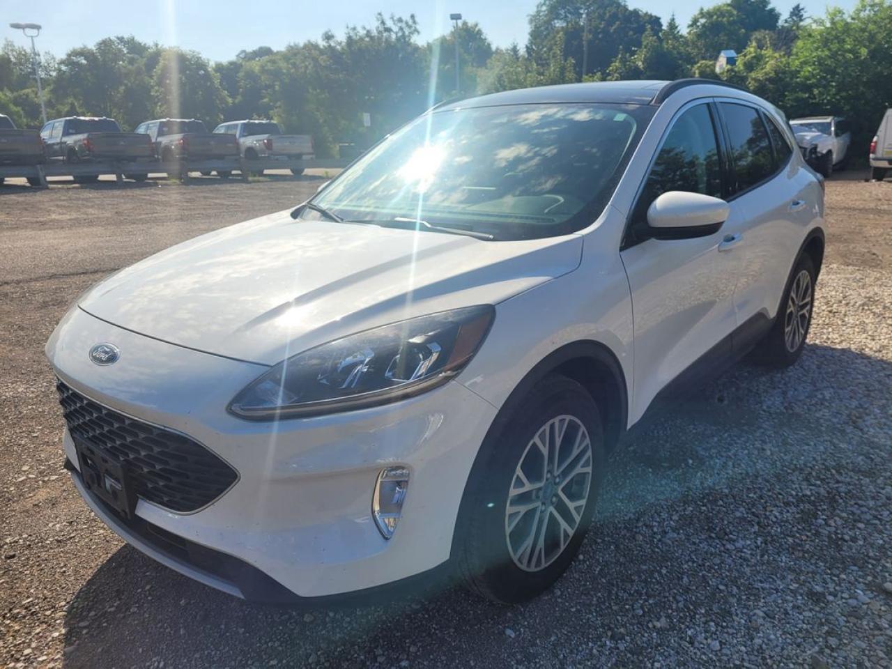 Used 2022 Ford Escape SEL for sale in London, ON