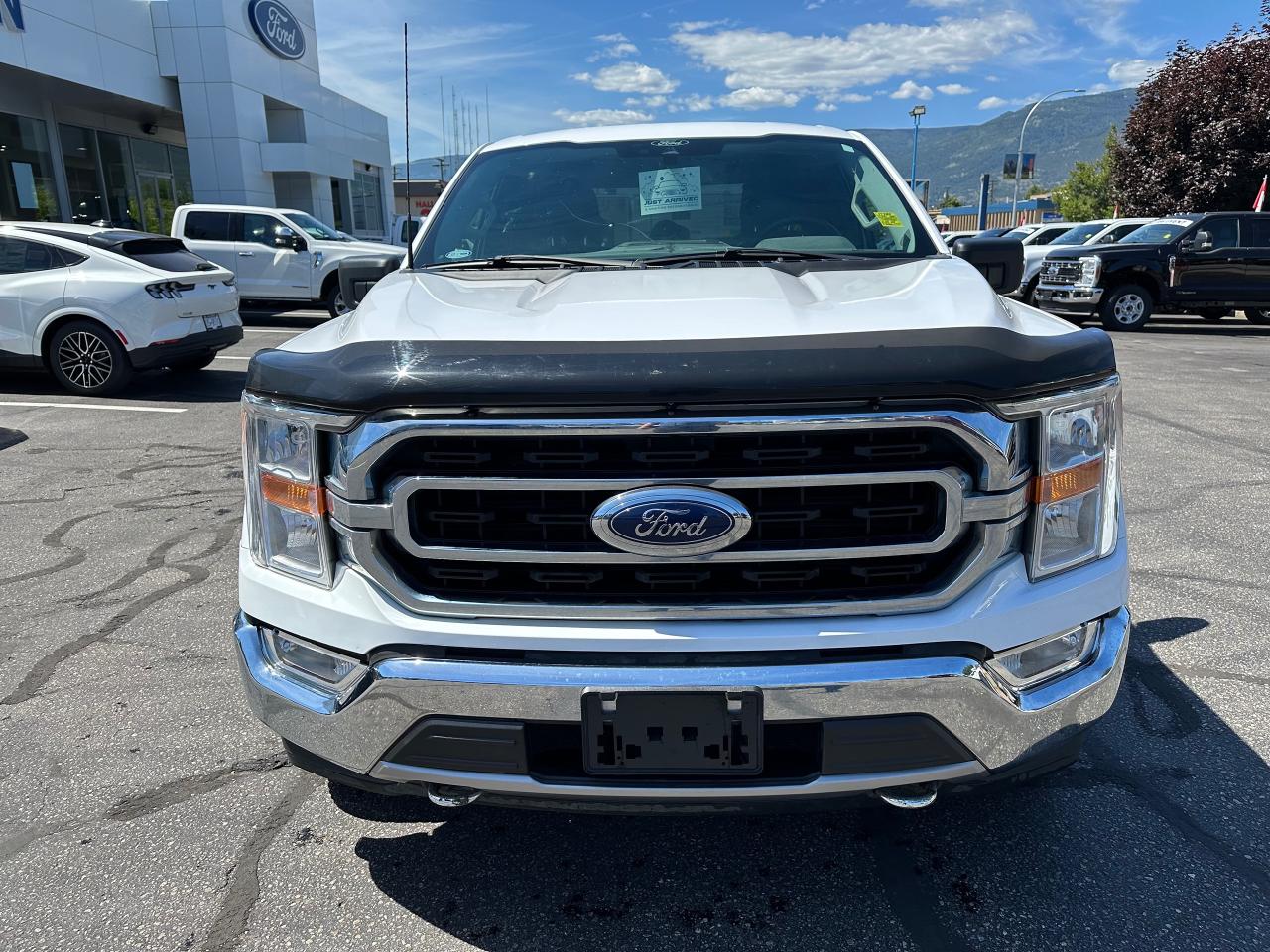 2021 Ford F-150 XLT Photo1