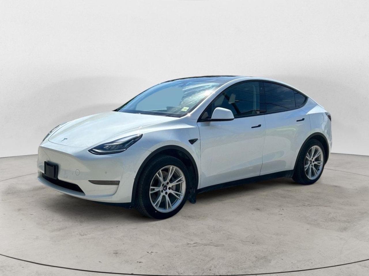 Used 2021 Tesla Model Y Long Range 4dr All-Wheel Drive Sport Utility Automatic for sale in Winnipeg, MB