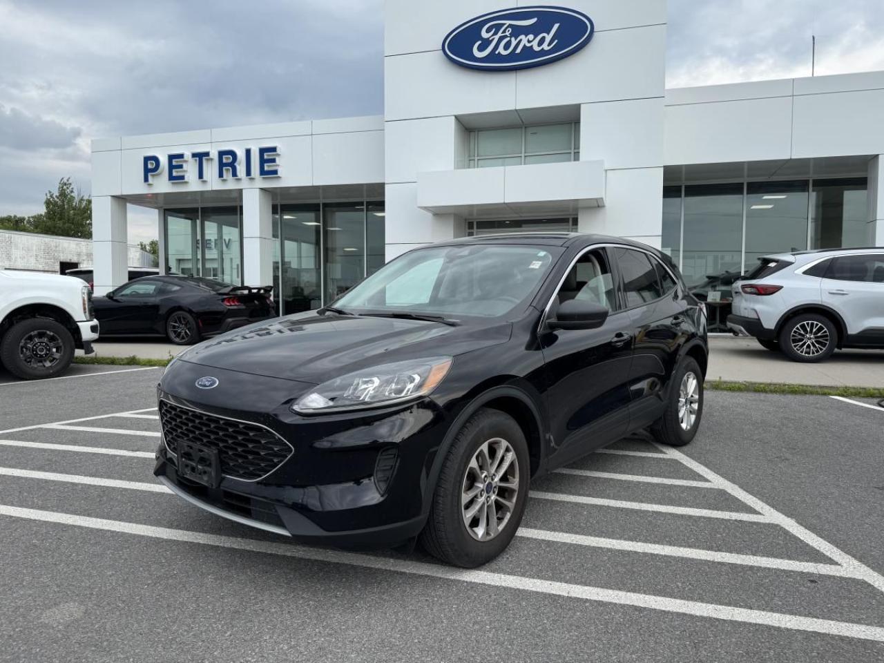 Used 2022 Ford Escape SE for sale in Kingston, ON