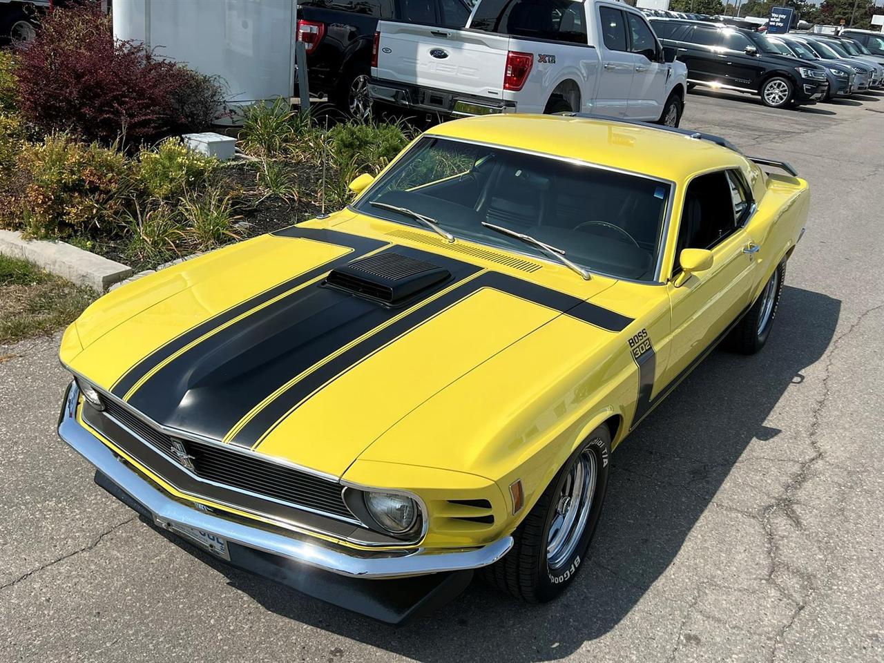 1970 Ford Mustang Boss 302 Photo3
