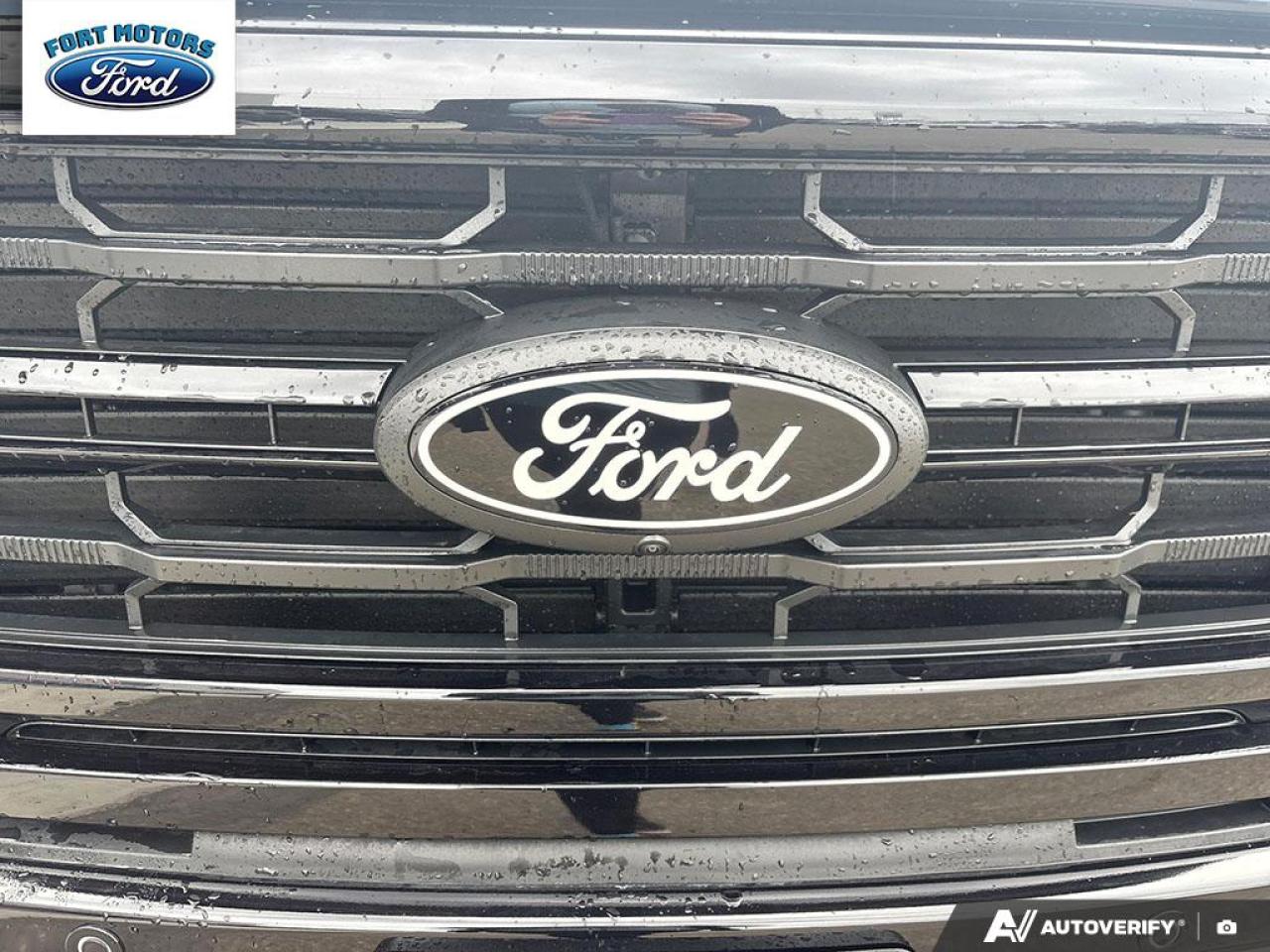 2025 Ford F-150 XLT Photo5
