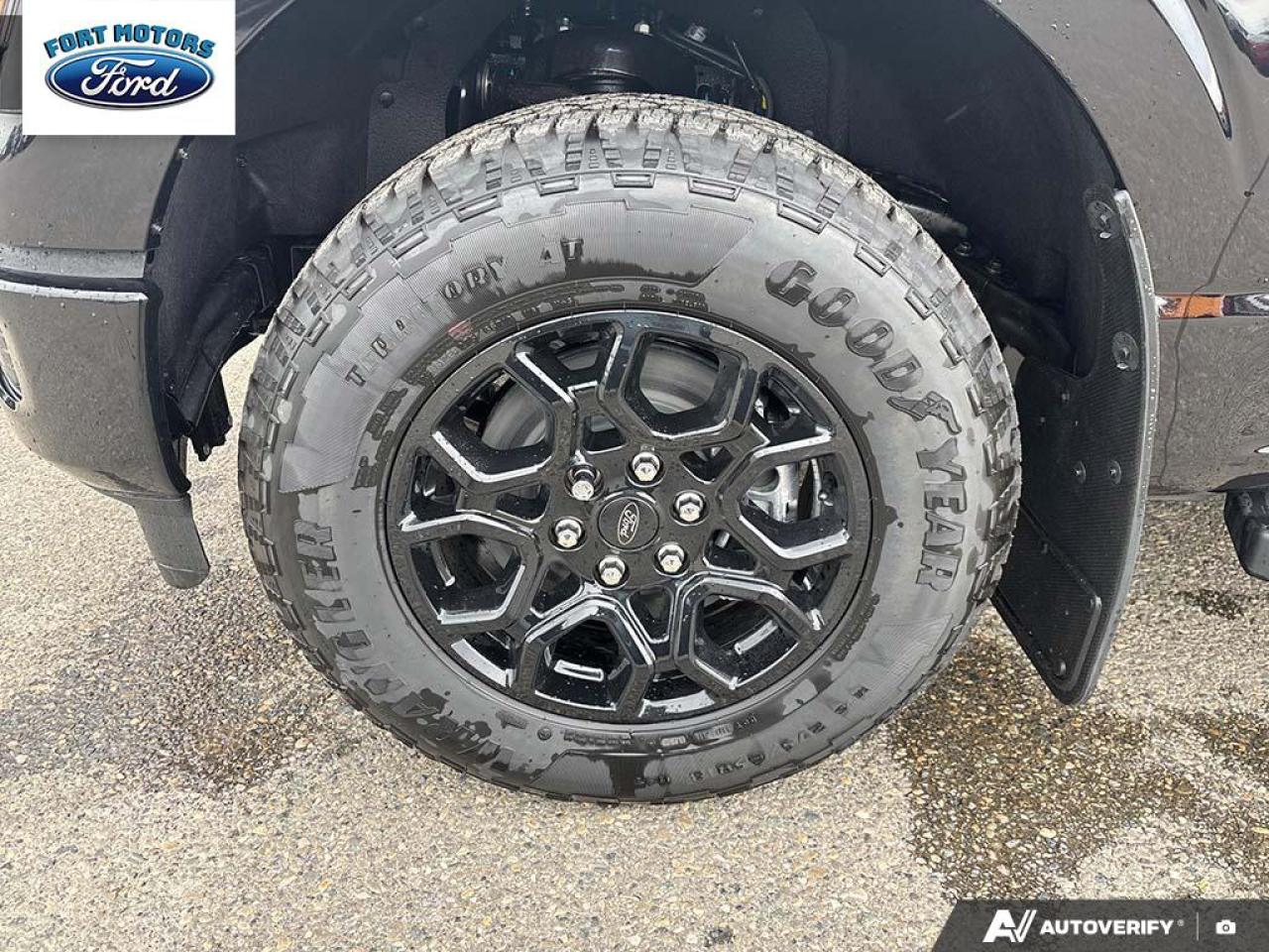 2025 Ford F-150 XLT Photo5