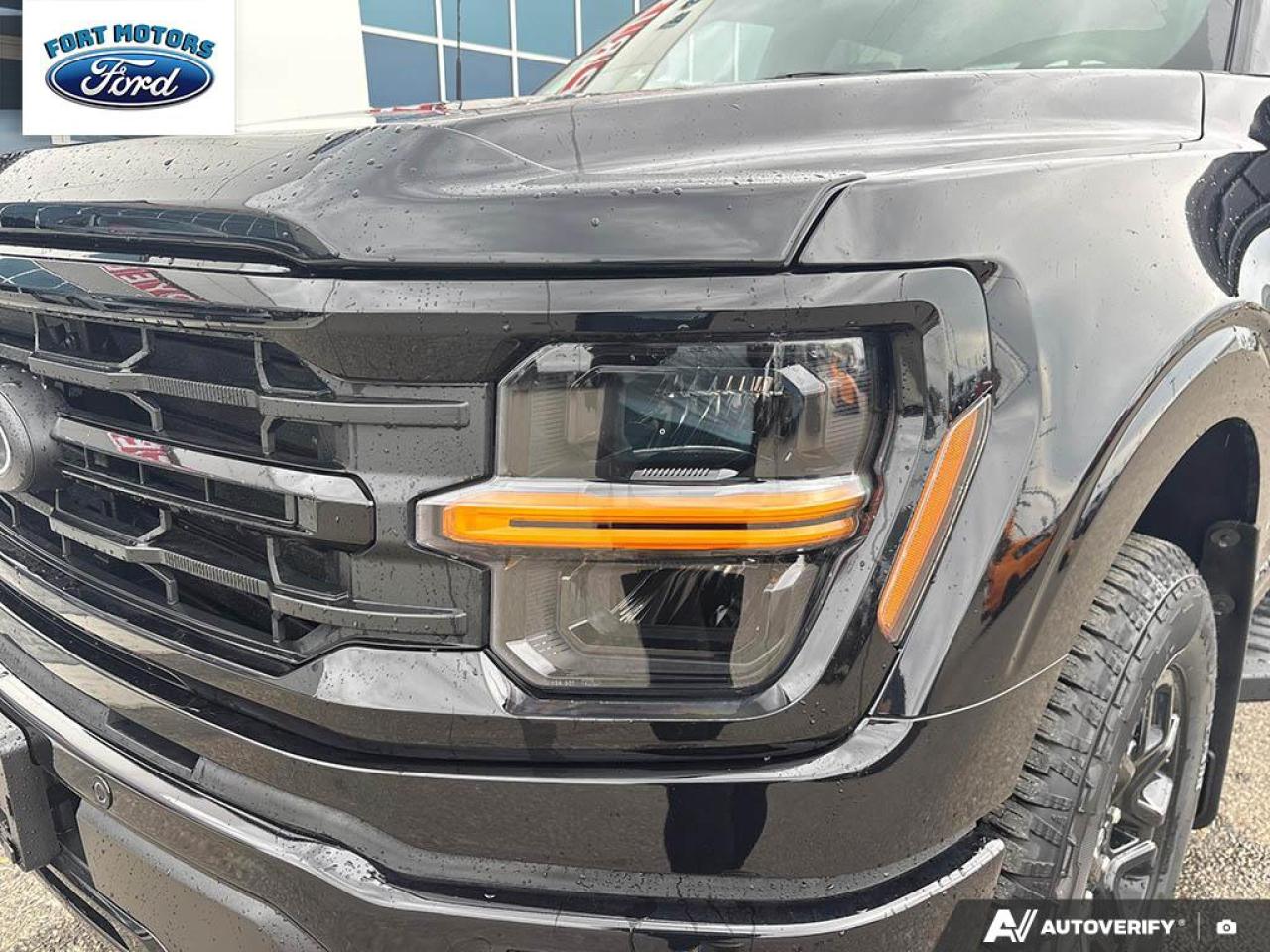 2025 Ford F-150 XLT Photo5