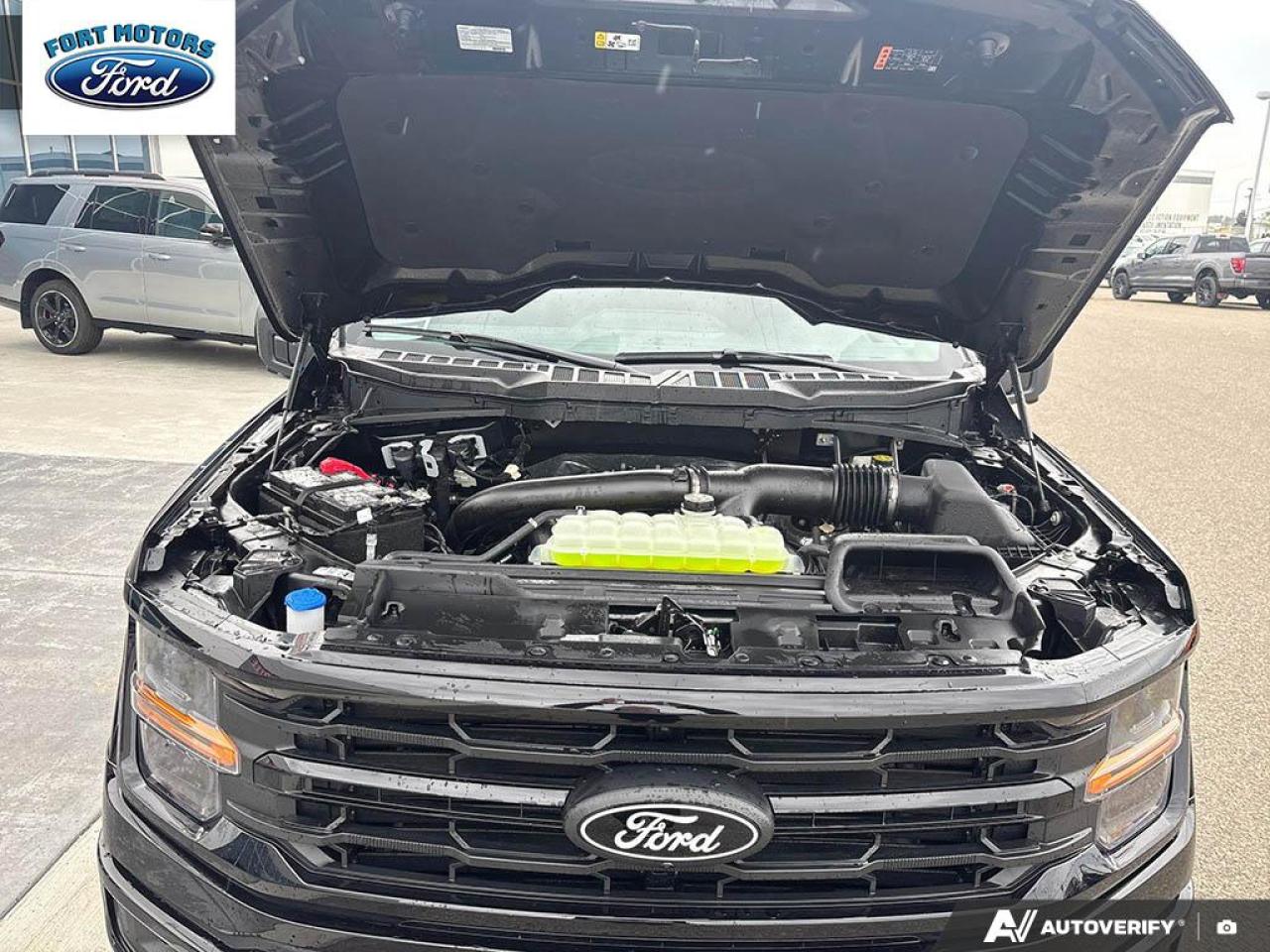 2025 Ford F-150 XLT Photo5