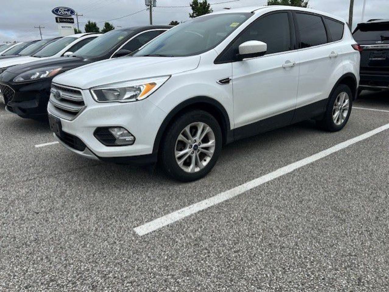 Used 2019 Ford Escape SE 4WD for sale in Watford, ON