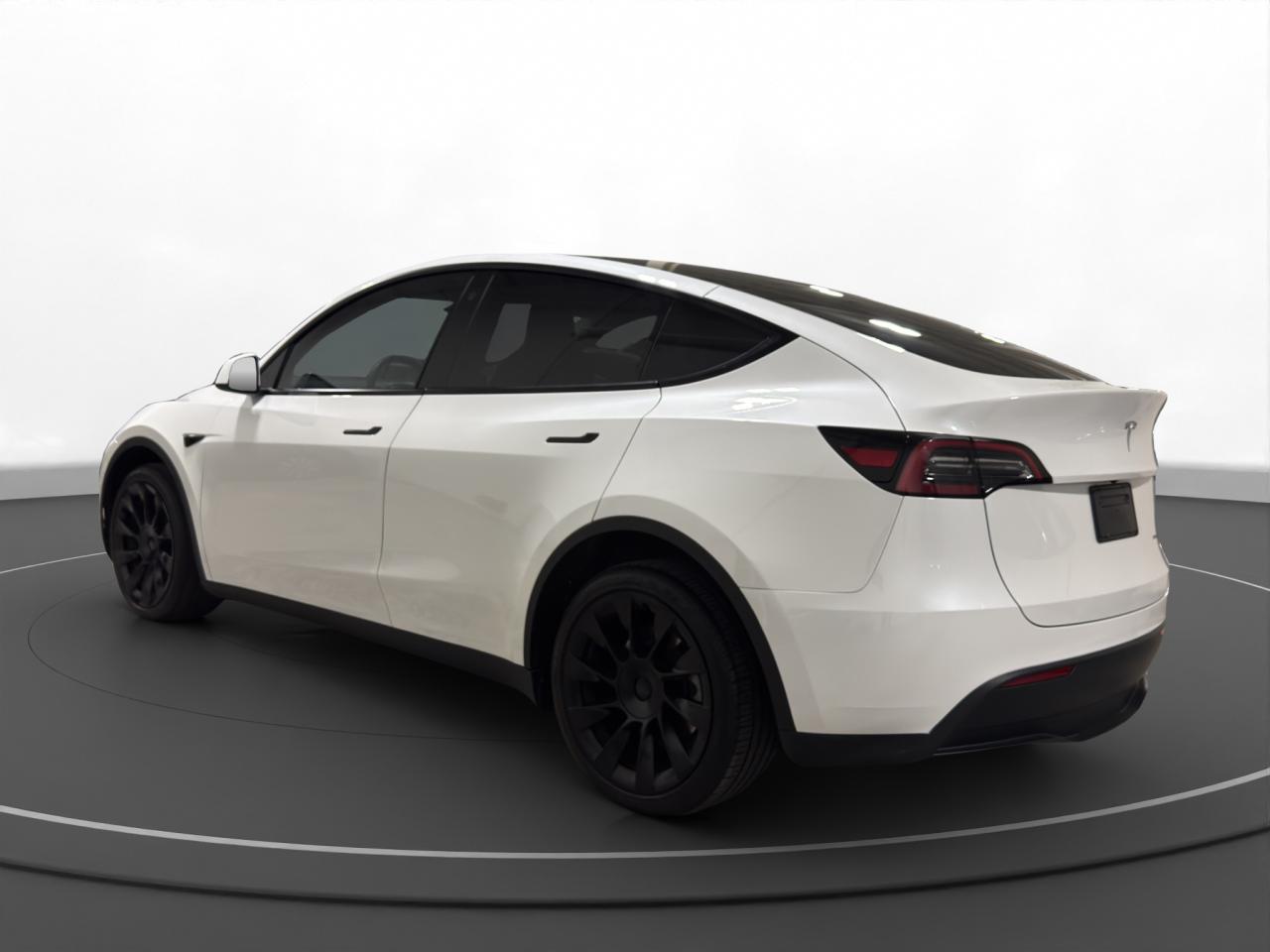 2023 Tesla Model Y LONG RANGE - Photo #6