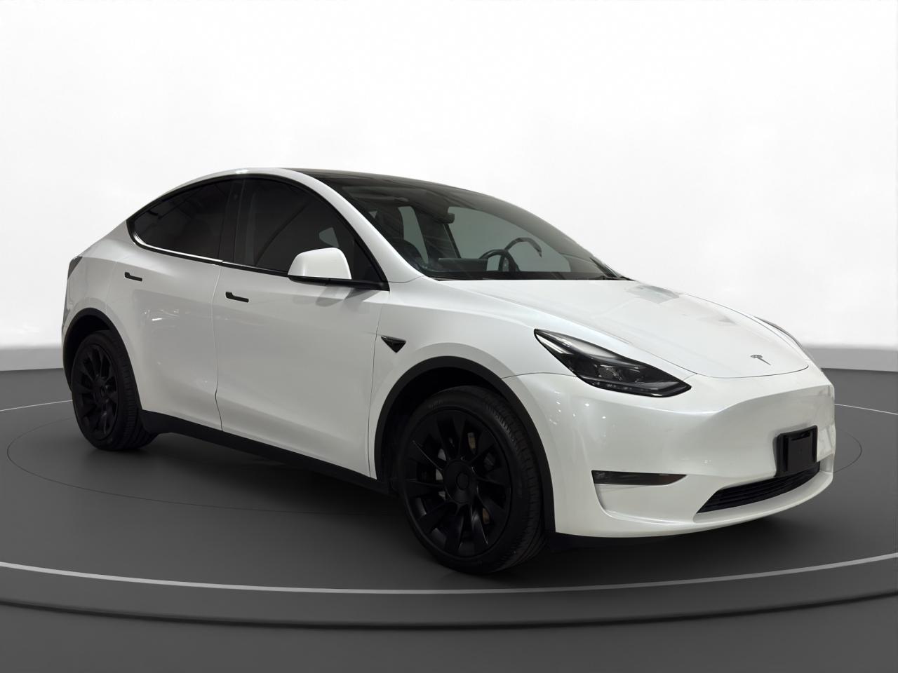 2023 Tesla Model Y LONG RANGE - Photo #3