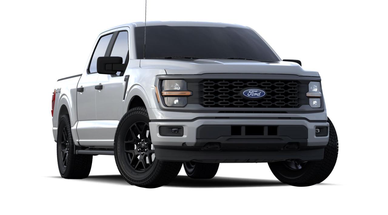 2024 Ford F-150 STX 4WD SUPERCREW 5.5' BO Photo