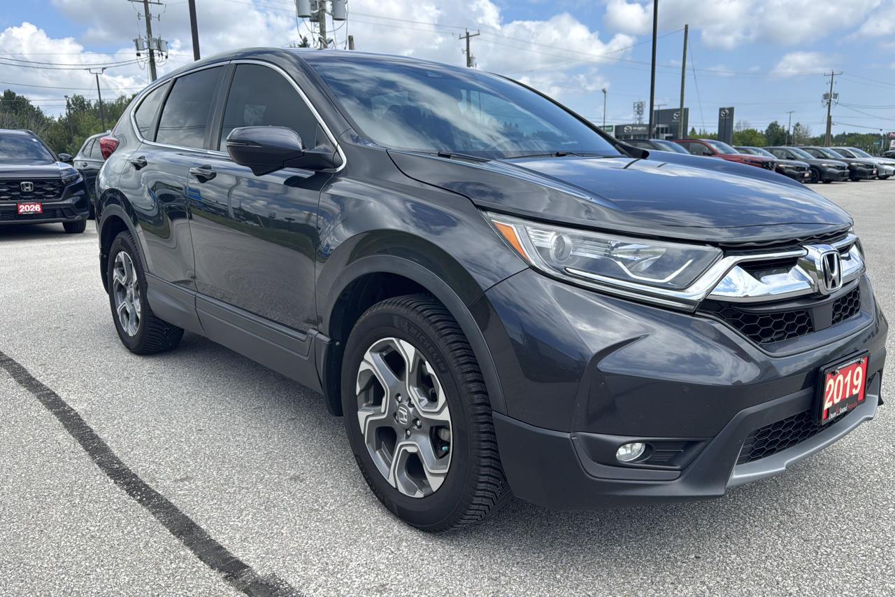 2019 Honda CR-V EX-L Photo