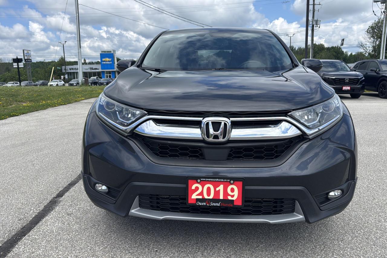 2019 Honda CR-V EX-L Photo