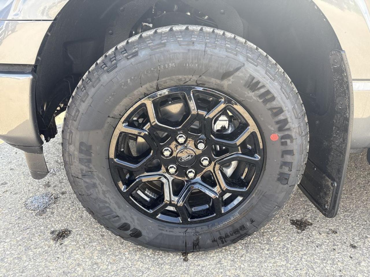 2025 Ford F-150 XLT 5.5' Box 302A Photo5