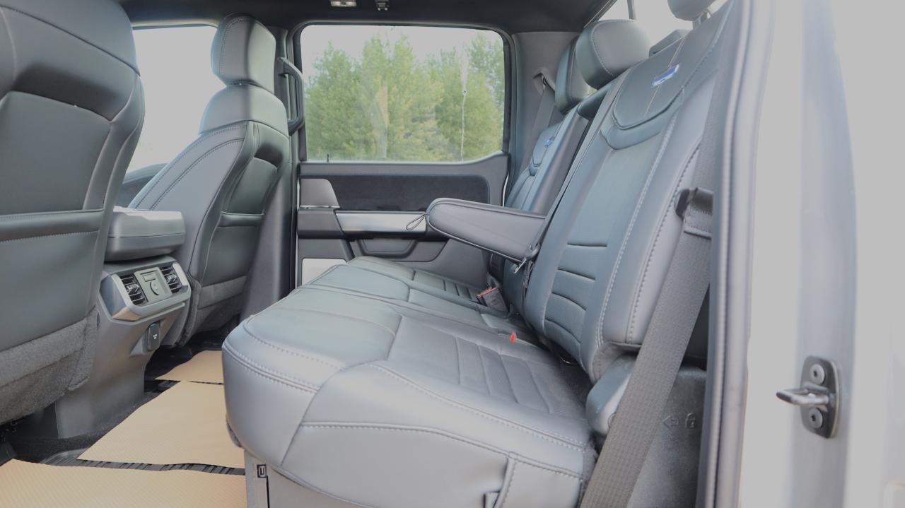 2025 Ford F-150 Platinum Photo5