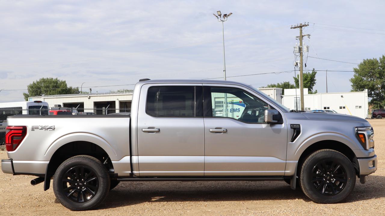 2025 Ford F-150 Platinum Photo4