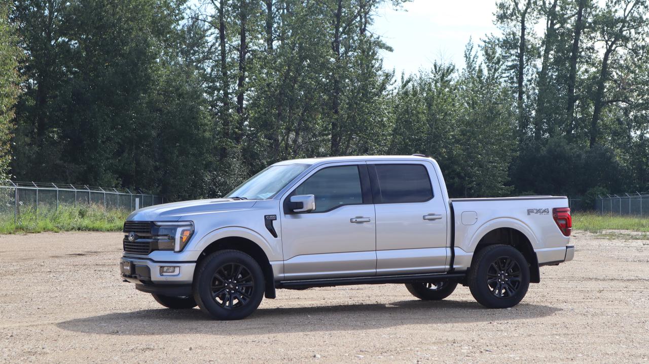 2025 Ford F-150 Platinum Photo0