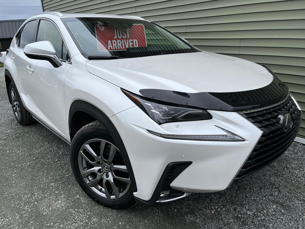 2018 Lexus NX NX 300 Auto - Photo #1