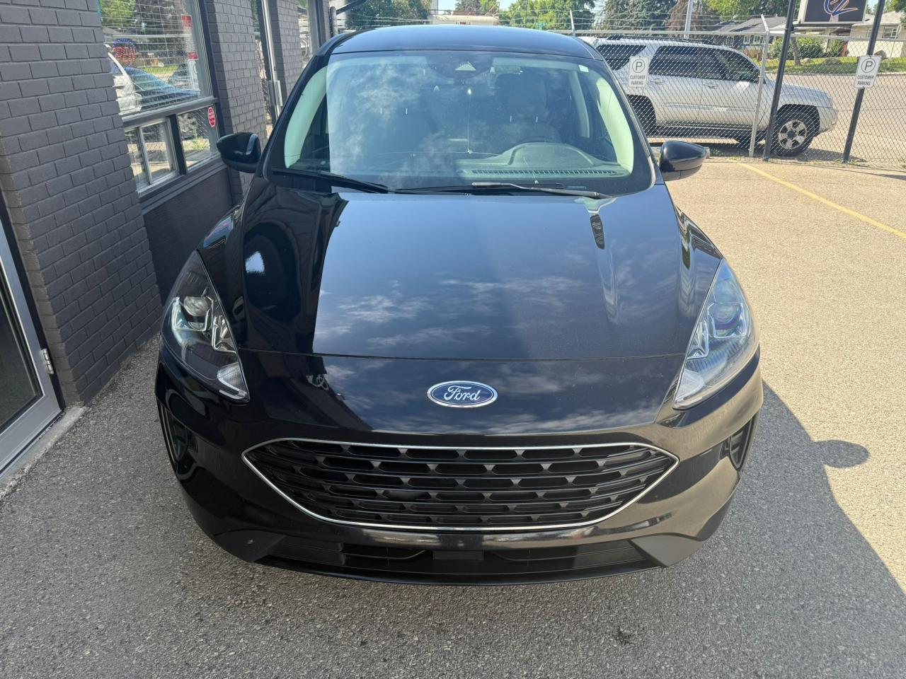 2022 Ford Escape SE Hybrid AWD - Photo #6