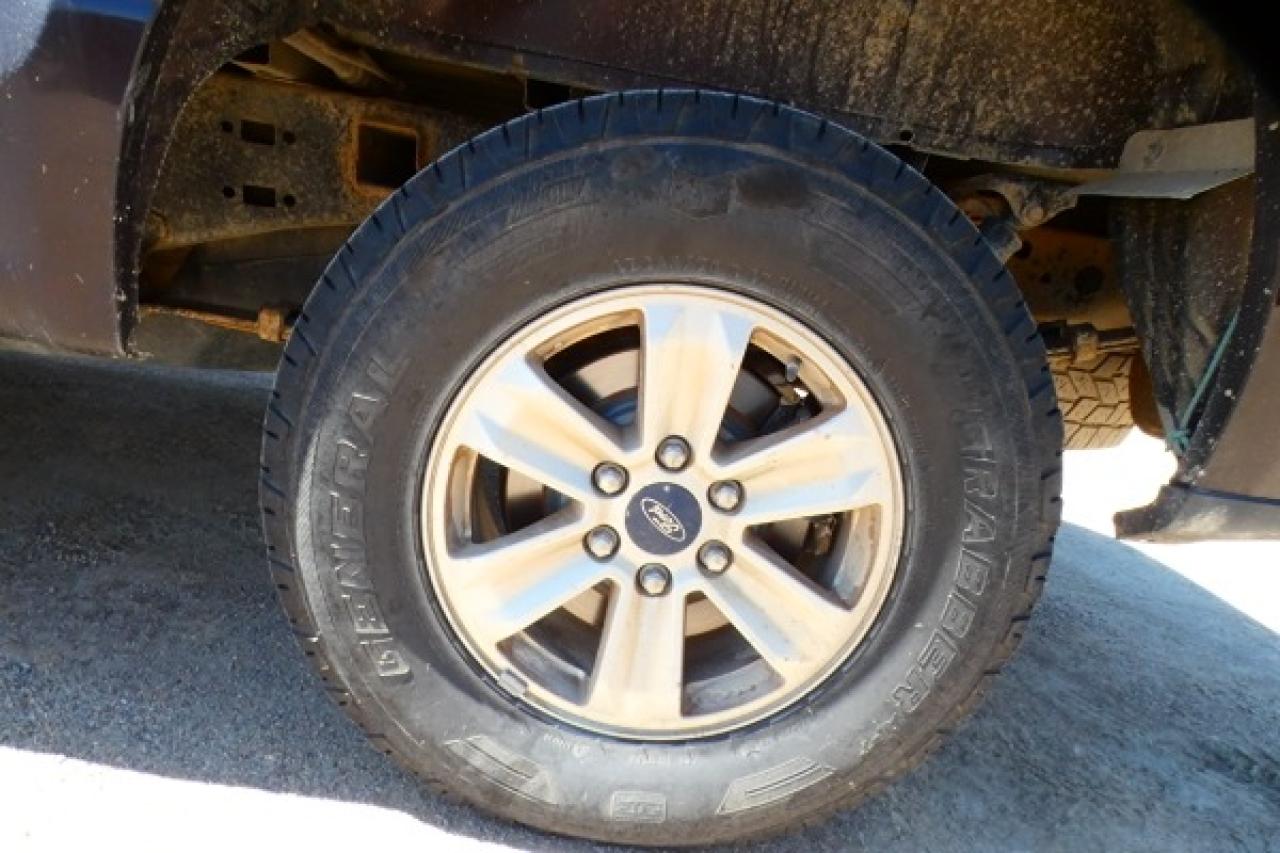 2019 Ford F-150 XLT w/cloth seats, BUC - Photo #17