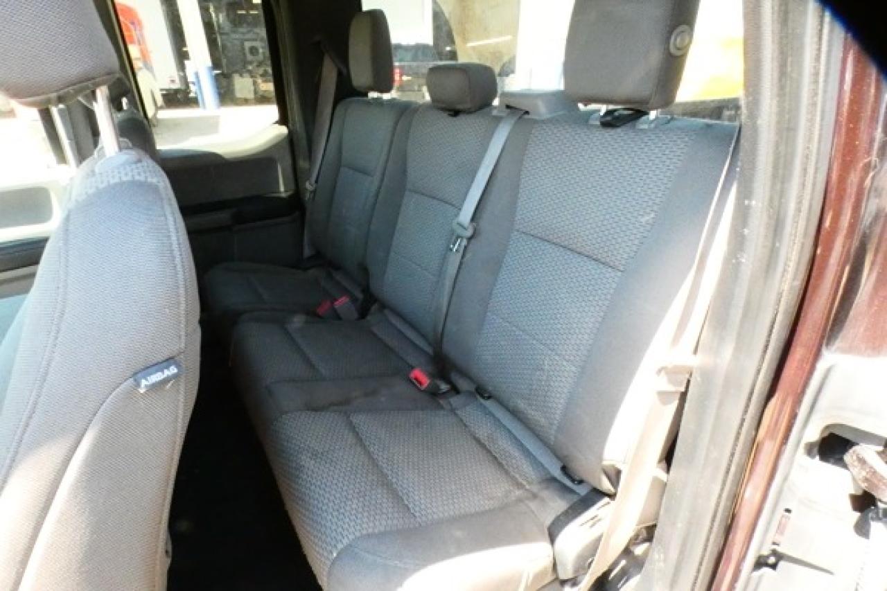 2019 Ford F-150 XLT w/cloth seats, BUC - Photo #9