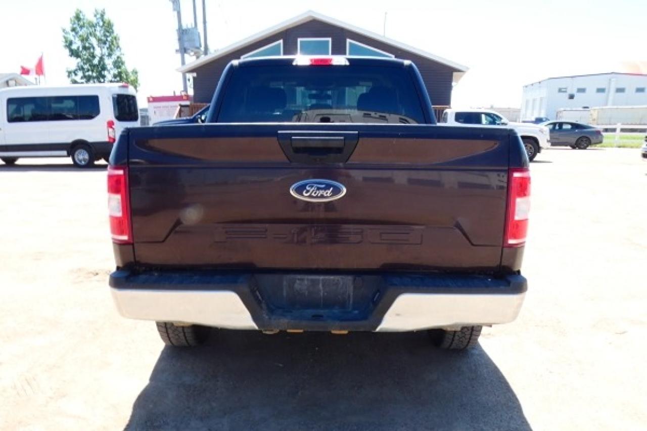 2019 Ford F-150 XLT w/cloth seats, BUC - Photo #7