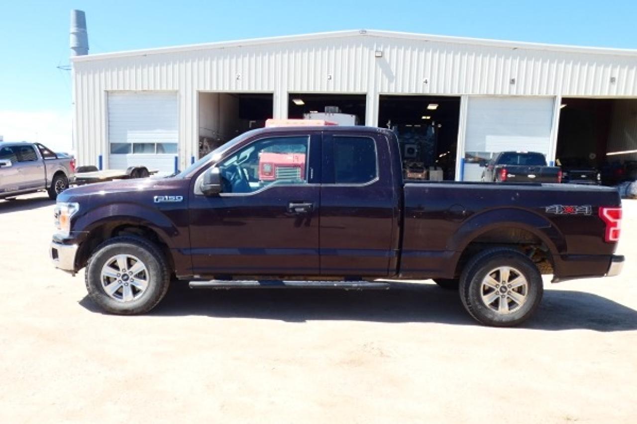 2019 Ford F-150 XLT w/cloth seats, BUC