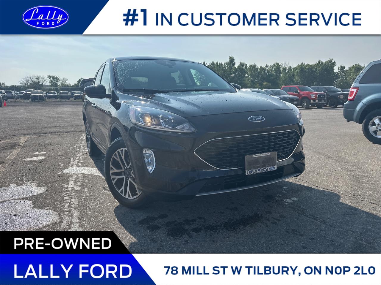 Used 2022 Ford Escape SEL AWD, Leather, Premium Sound! for sale in Tilbury, ON
