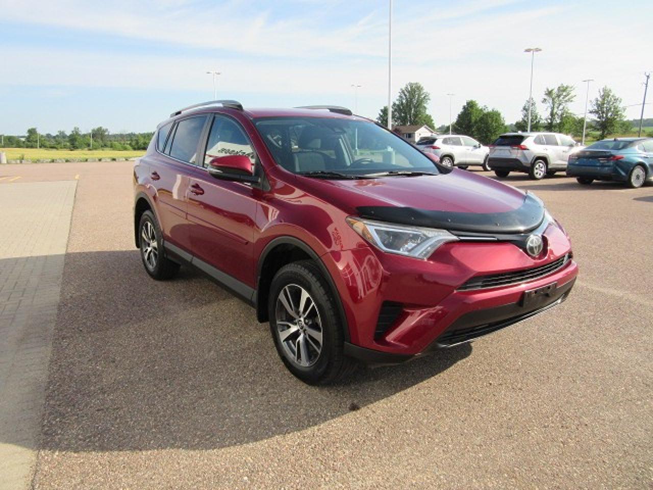 2018 Toyota RAV4 LE Photo