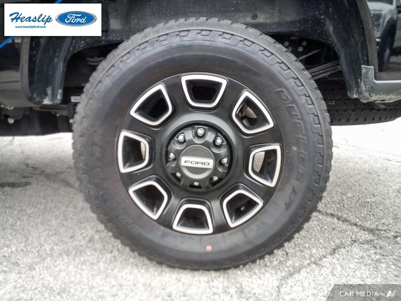 2023 Ford F-250 Super Duty SRW Platinum Photo5